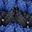 dark blue bicolor