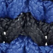 dark blue bicolor