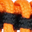 orange bicolor