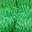 Silk green
